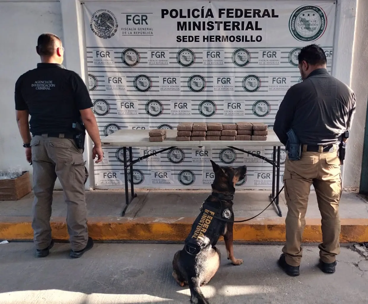 Decomisan cargamento de cocaína en empresa de paquetería de Hermosillo