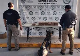 Decomisan cargamento de cocaína en empresa de paquetería de Hermosillo