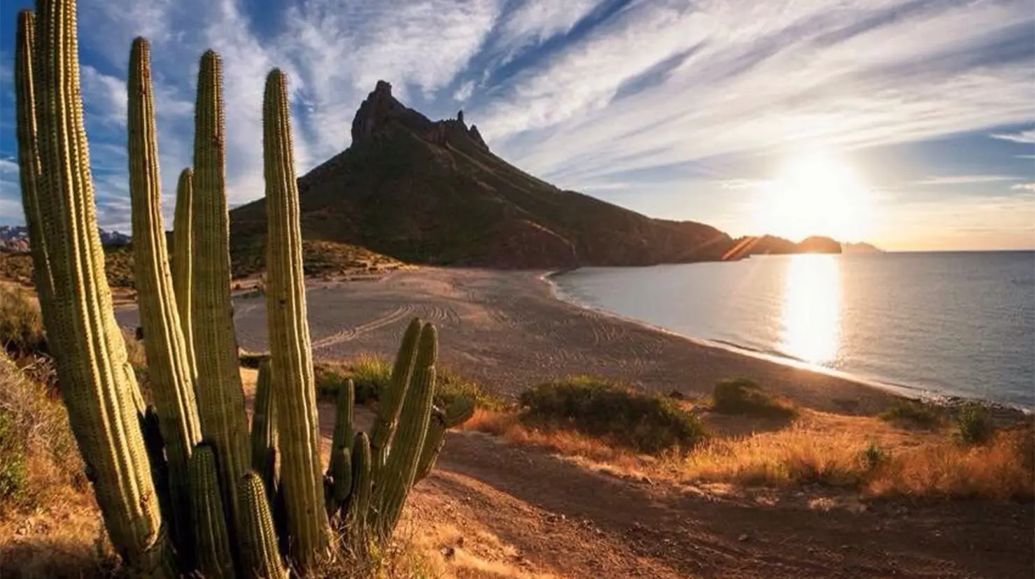 Grandes estilos en la música del estado.