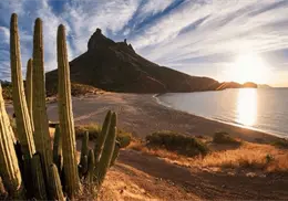 ¿Qué hay de nuevo en la música sonorense?