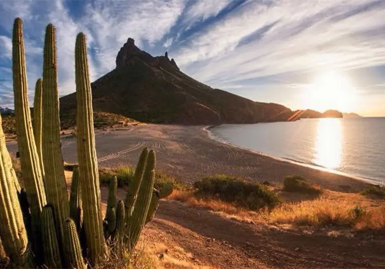 ¿Qué hay de nuevo en la música sonorense?