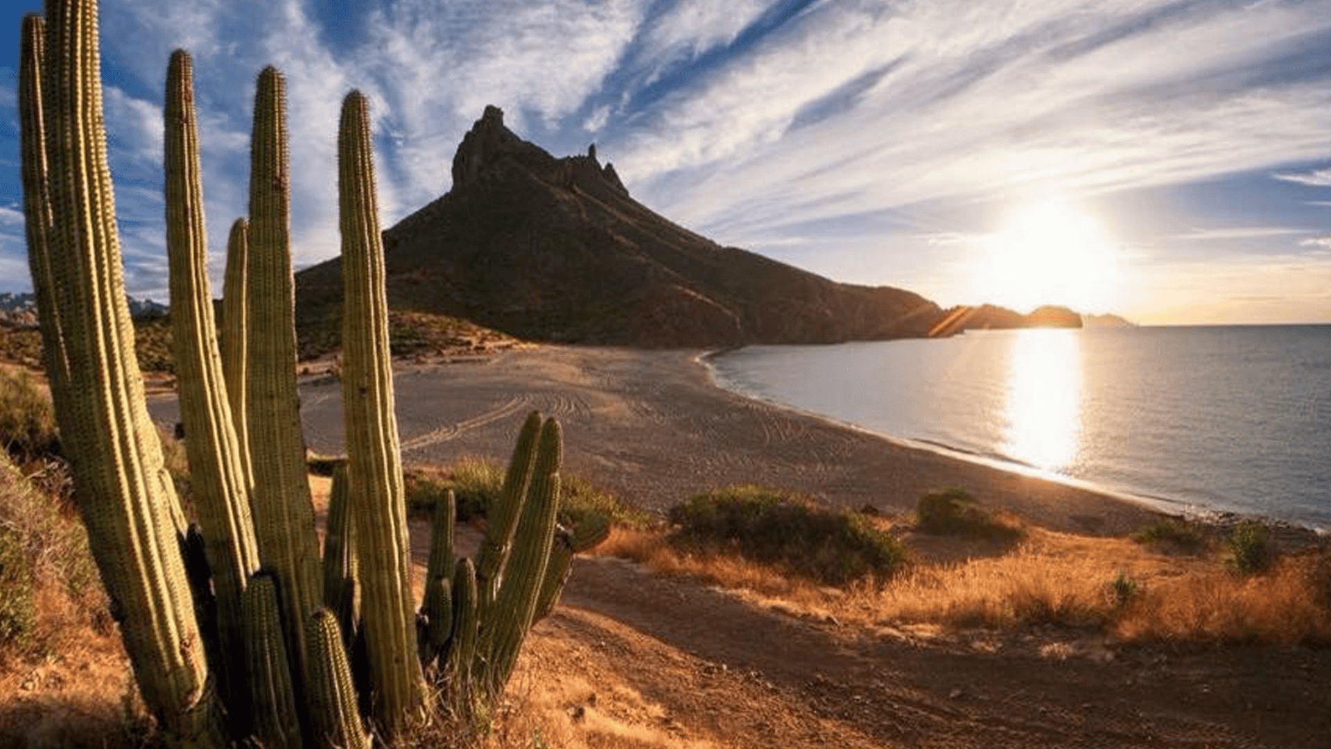 ¿Qué hay de nuevo en la música sonorense?