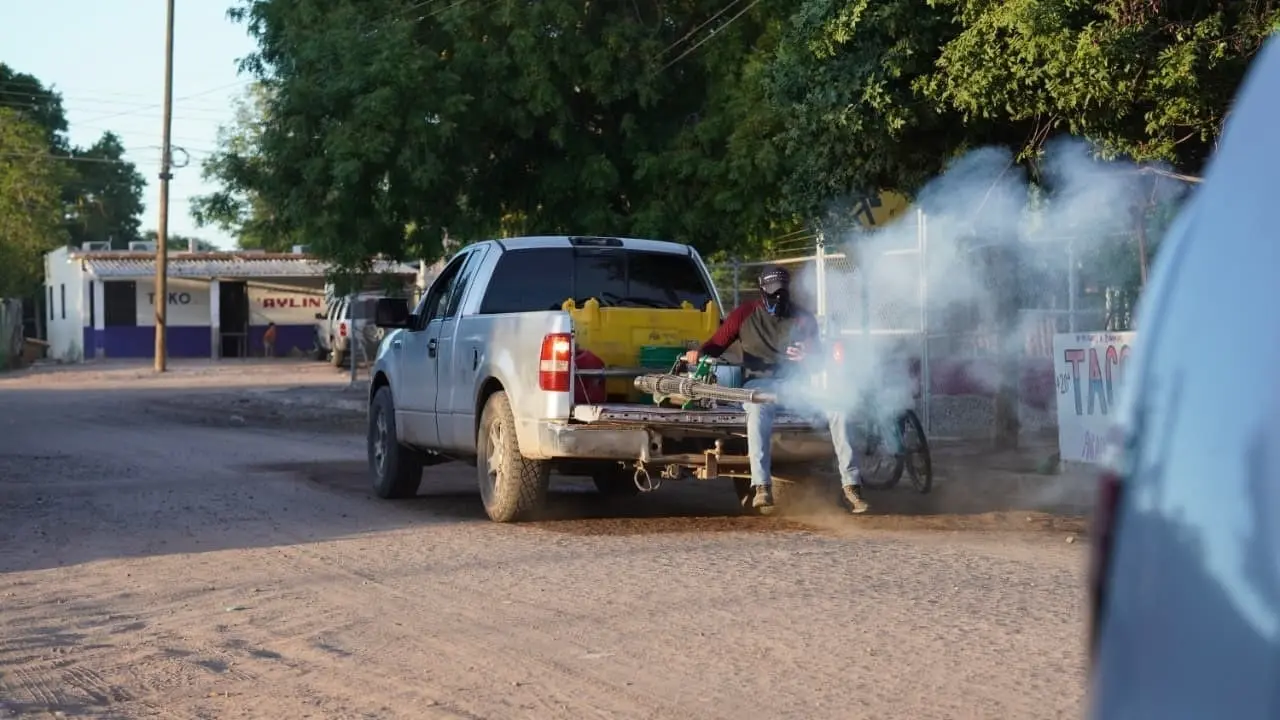 Dengue repunta en el Mayo; más de 100 casos confirmados
