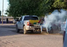 Dengue repunta en el Mayo; más de 100 casos confirmados