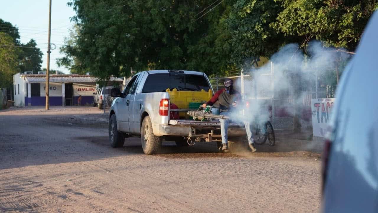 Dengue repunta en el Mayo; más de 100 casos confirmados