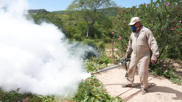 imagen-cuerpo imagen-cuerpo