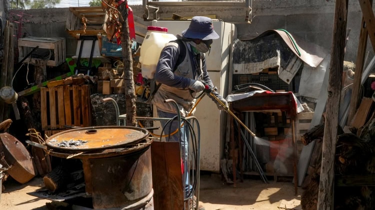 imagen-cuerpo imagen-cuerpo