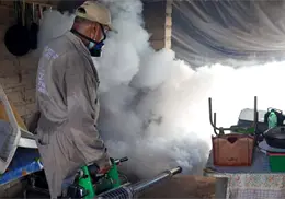 Descarta Salud muertes por dengue