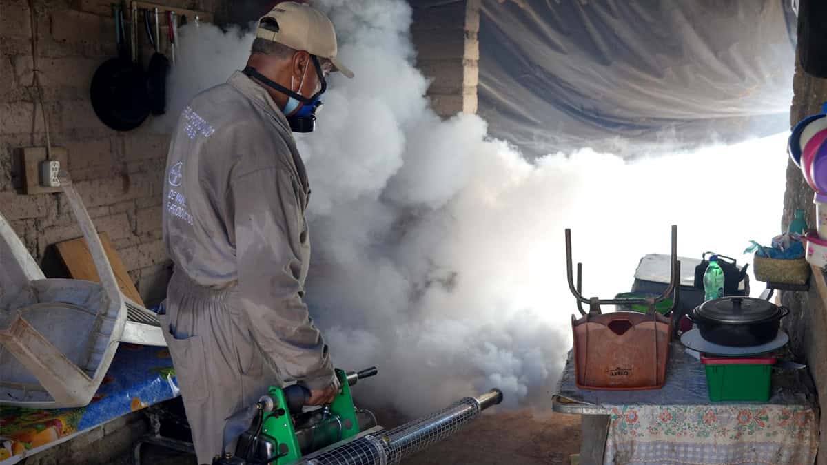 Descarta Salud muertes por dengue