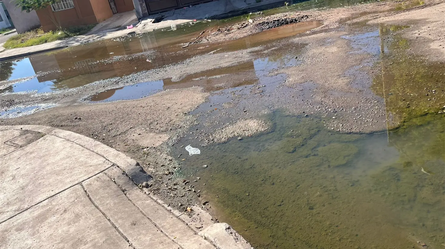 Vecinos temen foco de infección en colonia Misión San Xavier