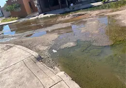 Vecinos temen foco de infección en colonia Misión San Xavier