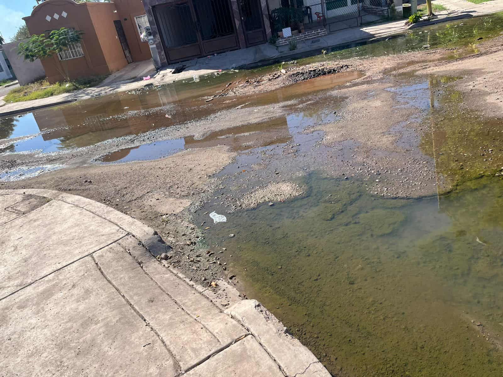 Vecinos temen foco de infección en colonia Misión San Xavier