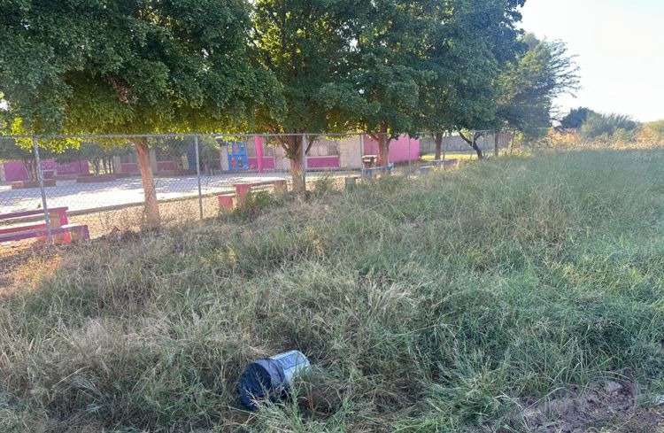 imagen-cuerpo imagen-cuerpo