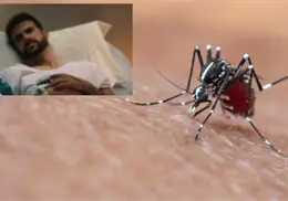 Así puedes solicitar fumigación contra los mosquitos en tu comunidad