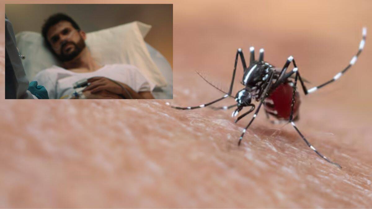 Así puedes solicitar fumigación contra los mosquitos en tu comunidad