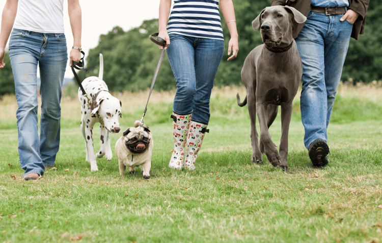 imagen-cuerpo imagen-cuerpo