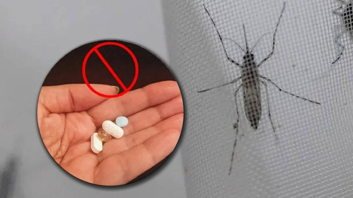 Evite automedicarse ante signos de dengue