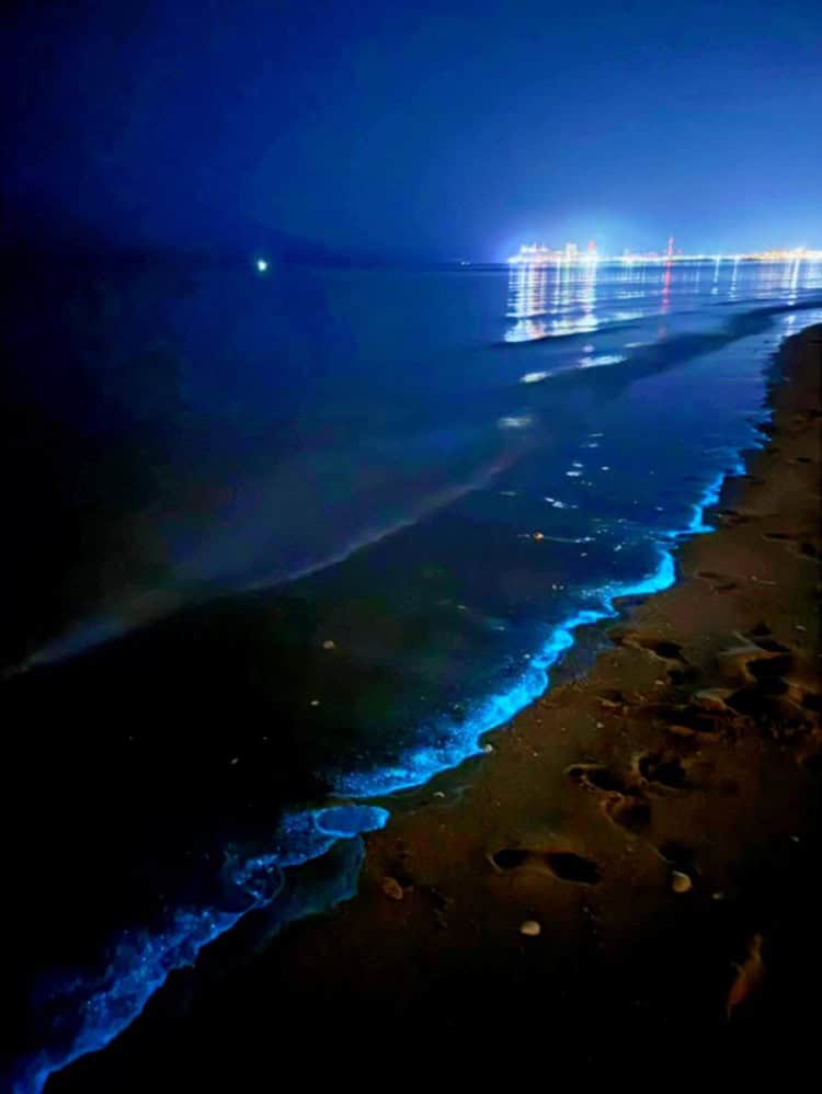 imagen-cuerpo imagen-cuerpo