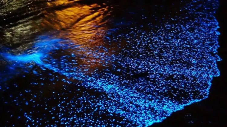 imagen-cuerpo imagen-cuerpo