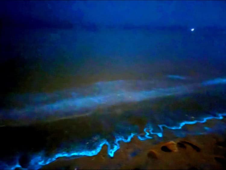 imagen-cuerpo imagen-cuerpo