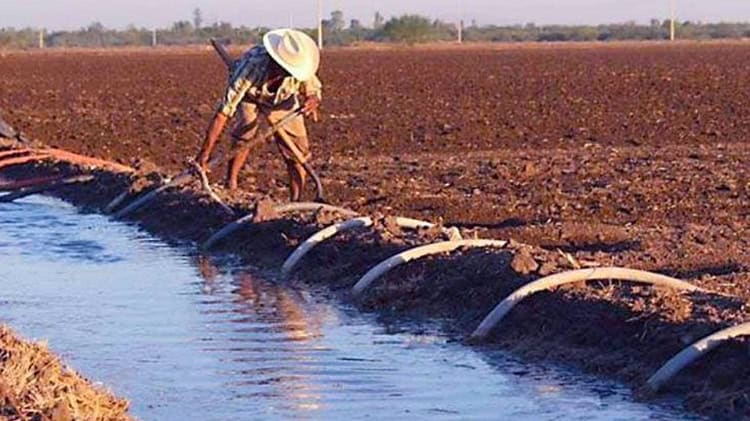 imagen-cuerpo imagen-cuerpo