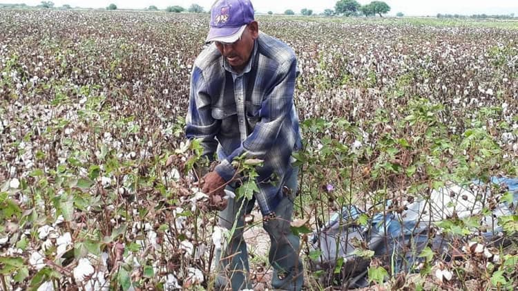 imagen-cuerpo imagen-cuerpo