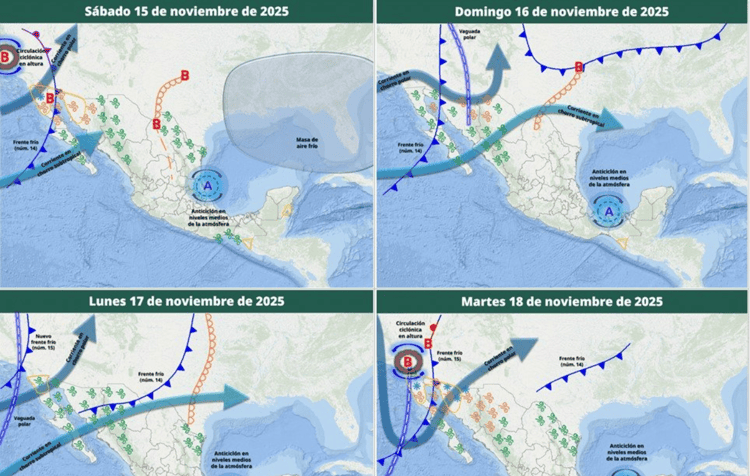 imagen-cuerpo imagen-cuerpo