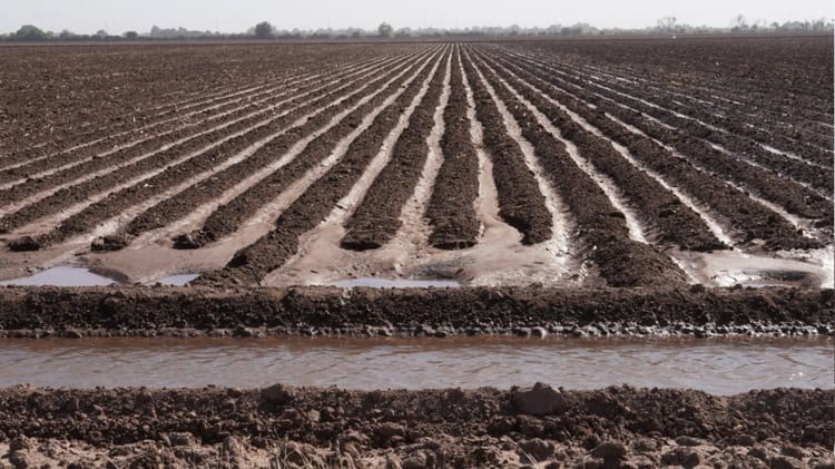 imagen-cuerpo imagen-cuerpo