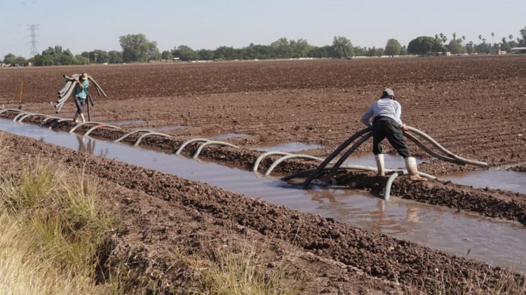 imagen-cuerpo imagen-cuerpo