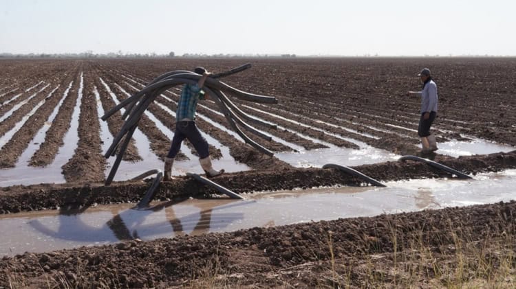 imagen-cuerpo imagen-cuerpo