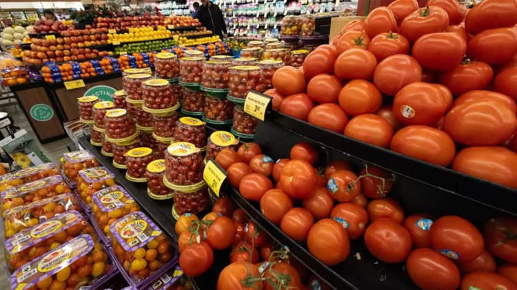 imagen-cuerpo imagen-cuerpo