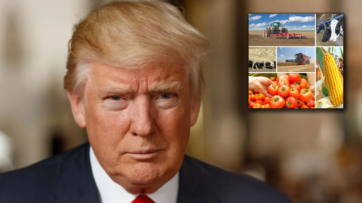 Trump elimina aranceles a algunas importaciones agrícolas; firma decreto