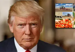 Trump elimina aranceles a algunas importaciones agrícolas; firma decreto Trump elimina aranceles a algunas importaciones agrícolas; firma decreto