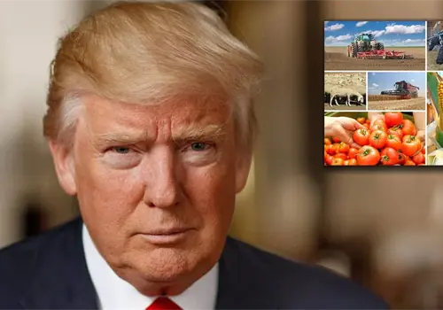 Trump elimina aranceles a algunas importaciones agrícolas; firma decreto