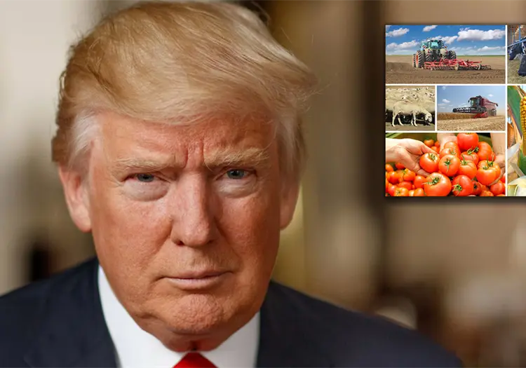 Trump elimina aranceles a algunas importaciones agrícolas; firma decreto