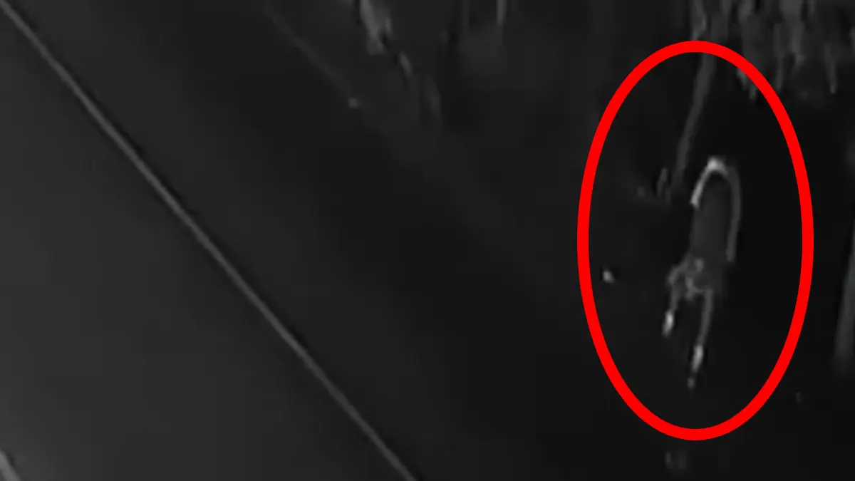 VIDEO | Padre desentierra y lleva a casa a su hijo muerto, pues creía que estaba pasando frío