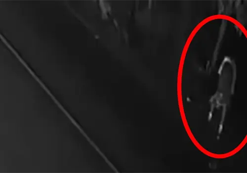 VIDEO | Padre desentierra y lleva a casa a su hijo muerto, pues creía que estaba pasando frío VIDEO | Padre desentierra y lleva a casa a su hijo muerto, pues creía que estaba pasando frío