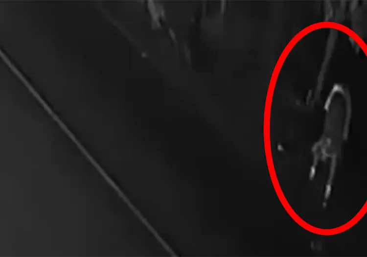 VIDEO | Padre desentierra y lleva a casa a su hijo muerto, pues creía que estaba pasando frío