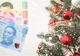 ¿Cuánto cuesta poner y decorar un árbol de Navidad en 2025? ¿Cuánto cuesta poner y decorar un árbol de Navidad en 2025?