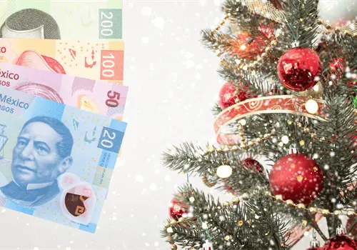 ¿Cuánto cuesta poner y decorar un árbol de Navidad en 2025? ¿Cuánto cuesta poner y decorar un árbol de Navidad en 2025?