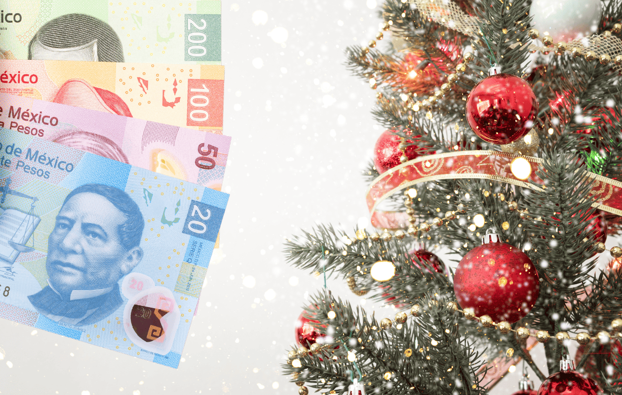 ¿Cuánto cuesta poner y decorar un árbol de Navidad en 2025?