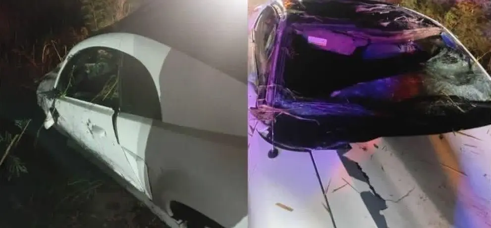 Cae vehículo a Canal Bajo en Providencia; hay un muerto