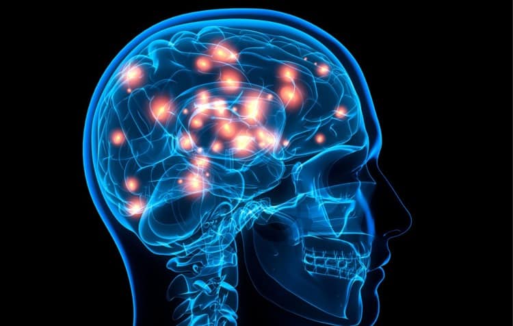 imagen-cuerpo imagen-cuerpo