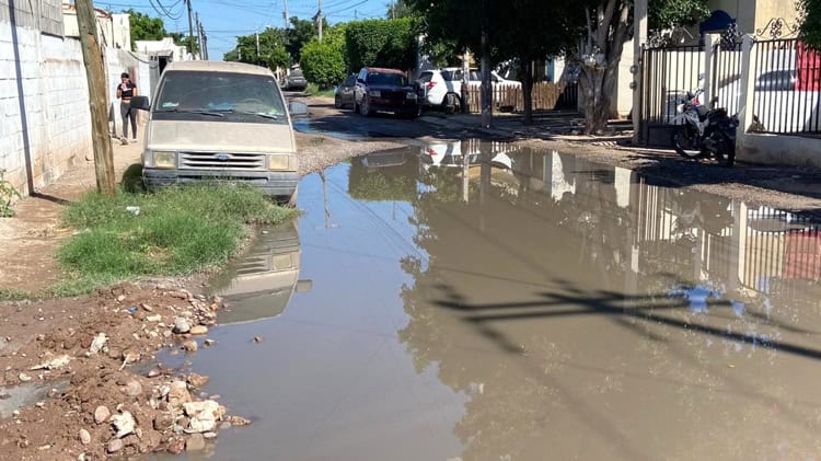 imagen-cuerpo imagen-cuerpo