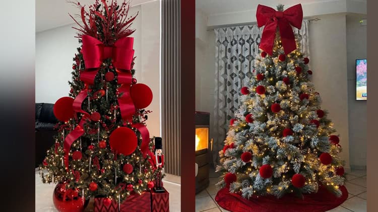 imagen-cuerpo imagen-cuerpo