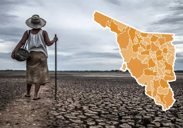 Sonora enfrenta distintos niveles de sequía pese a mejora reciente en lluvias