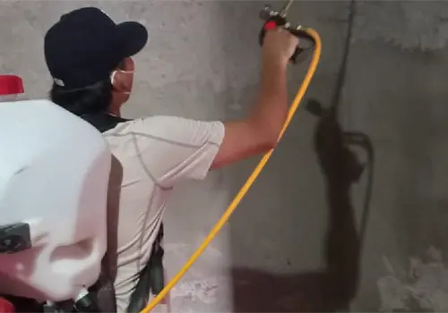 Aumento de dengue en Cajeme se debe a variante serotipo 3 Aumento de dengue en Cajeme se debe a variante serotipo 3