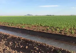 Buscan eficiencia en gestión hídrica