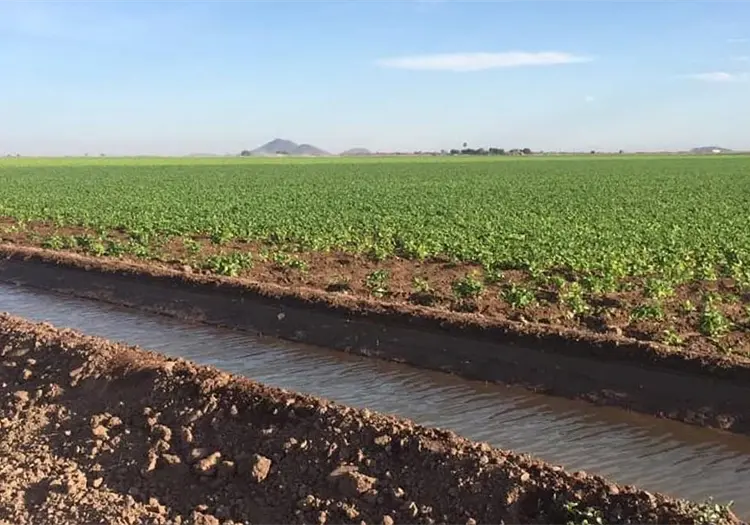 Buscan eficiencia en gestión hídrica