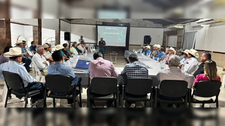 imagen-cuerpo imagen-cuerpo